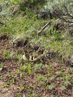 IMG_8157.jpeg
