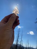 IMG_1789.jpeg