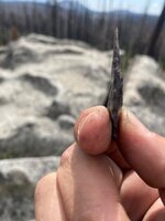 IMG_1792.jpeg