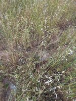 IMG_1386.jpeg