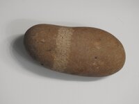 DSCN5472.JPG
