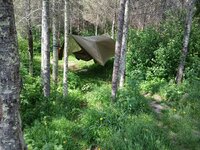 20260604_160508.jpg