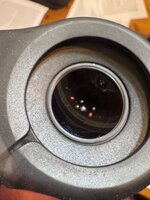 IMG_2654.jpeg