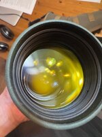 IMG_2655.jpeg