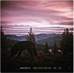 IMG_1780.jpeg