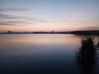 20260609_051751.jpg