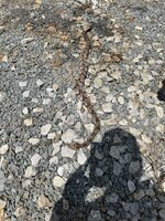 IMG_1447.jpeg