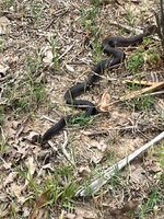 IMG_5853.jpeg