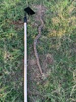 IMG_1360.jpeg