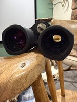 IMG_4987.jpeg