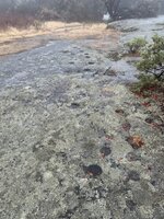 IMG_2143.jpeg