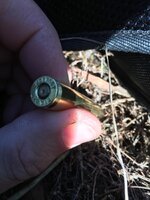 IMG_1022.jpeg
