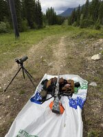 IMG_9133.jpeg
