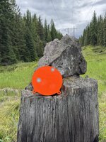 IMG_9134.jpeg