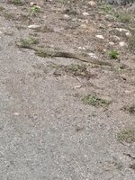 20250504_124957.jpg