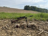 IMG_5726.jpeg