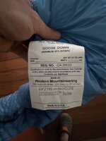 IMG_3455.jpeg