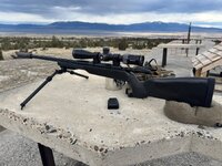 IMG_3868.jpeg