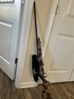IMG_4539.jpeg