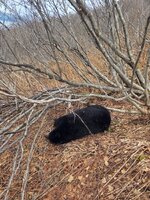 20260511_201651.jpg