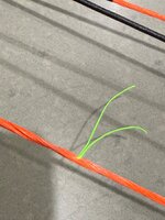 IMG_7623.jpeg
