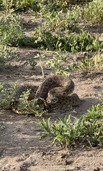 IMG_3064.jpeg