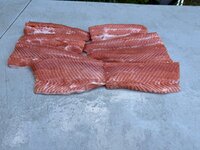 IMG_5061.jpeg
