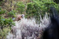 IMG_0932_edited.jpg