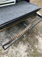 IMG_2959.jpeg