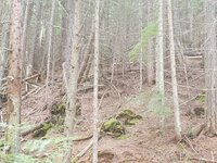 20200705_130834.jpg