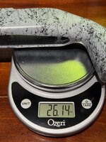 IMG_2456.jpeg
