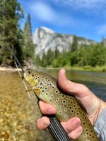 IMG_0264.jpeg