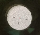 IMG_1006.jpeg