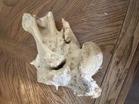 IMG_6108.jpeg