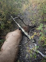 IMG_7174.jpeg