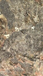 IMG_2792.jpeg