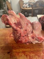 IMG_7230.jpeg