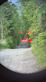 IMG_2807.jpeg