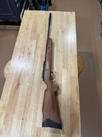 IMG_2525.jpeg