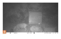 IMG_4493.jpeg