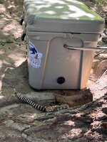 IMG_5210.jpeg