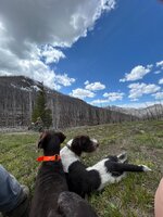 IMG_6134.jpeg