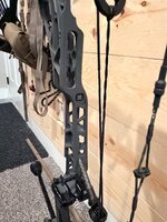 IMG_3944.jpeg