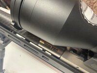 IMG_5416.jpeg