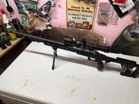 IMG_5415.jpeg