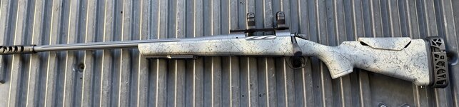 IMG_4480.jpeg IMG_4480.jpeg