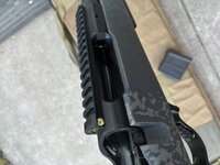 IMG_2308.jpeg IMG_2308.jpeg