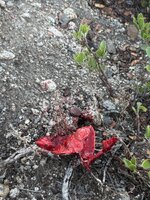 IMG_3143.jpeg IMG_3143.jpeg