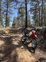 xr 650l.jpg