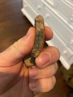 IMG_0890.jpeg